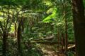 Il respiro verde della Terra: La farmacia del pianeta